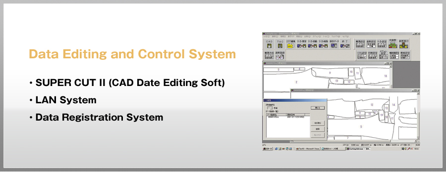 Data Editing and Control System